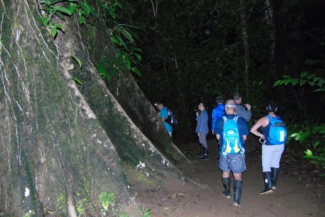 Caminata Nocturna — tour en Península de Osa, Corcovado y Bahía Drake